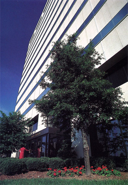 An Atapco Building